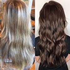 Brunette hair color ideas, tips and more. Blonde To Brunette Brunette Hair Color Hair Dark Brunette Hair