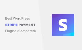 You'll be taken to the stripe website. 6 Best Stripe Payment Plugins For Wordpress Compared 2021