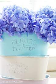 Check spelling or type a new query. Painted French Metal Planter From The Dollar Store 2 Bees In A Pod
