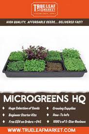 Microgreens Kits Seeds Supplies Growing Microgreens Microgreens Vegetable Garden Design