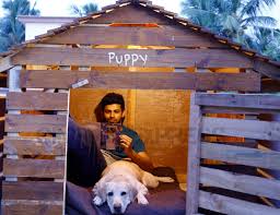 All of that changes when stan discovers he has a murderous vampire living in. Puppy Movie Review A Fun Film That Bites As Much As It Can Chew Yogi Babu Varun Samyuktha Hegde Cinema Express