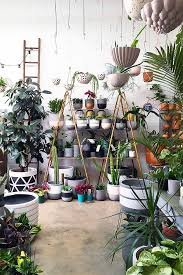 The Best Guide To Basic Care Of Houseplants Gardener S Path