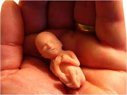 Gravidez Do Papai 10 Semanas De Gestacao Almanaque Dos Pais