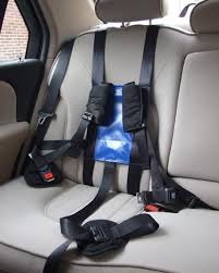 Crelling Harnesses Baby Travel Gear Special Kids Traveling With Baby