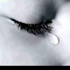 The excitements of having a secret liaison exemplify their hungry needs. Cheaters Oficial Latino Cheb Chikhou Hamidi Pages Directory