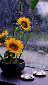 Sonia Alvaro On Twitter Pmallagray Buenos Dias Magicpilar Que Empiece La Magia La Ciudad Amanece Los Suenos Despiertan Entre Gotas De Lluvia Cafe Y Esperanza Felizjueves Amiga Buenosdias Https T Co P3skmm0279 Twitter