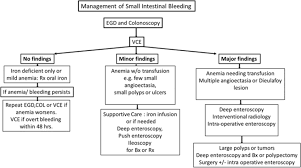 Image result for Small Intestinal Bleeding