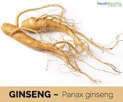 We hope this will help you to understand kannada better. Ginseng Facts And Health Benefits