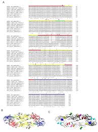 Tuan prabakaran a/l m parameswaran batu tarikh : Broadly Neutralizing Human Antibodies Against Dengue Virus Identified By Single B Cell Transcriptomics Elife