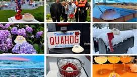 Cape Cod Quahog Day