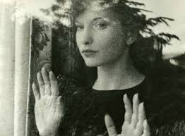 Donald Trump: Pop Culture Animal