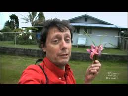 Maybe you would like to learn more about one of these? J Irai Dormir Chez Vous Hawai Youtube
