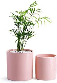 Amazon Com Potey Ceramic Planter Flower Plant Pot 4 9 6 1 With Drain Hole Full Depth Cylinder Mi In 2020 Indoor Flower Pots Flower Planters Ceramic Flower Pots