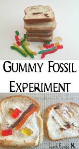 Sedimentary Rocks & Fossil Experiment