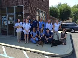 Veterinarians In Louisville Ky Vca Fairleigh Animal Hospital Emergency Vet Animal Hospital Veterinary Care