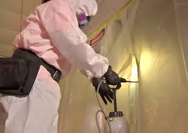 The test result (no asbestos detected) proves the point that one cannot tell by visual observation. Asbestos Threat Social Justice News Nexus