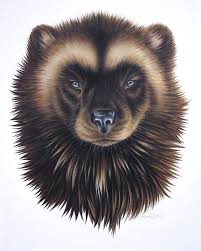 Totem Animal The Wolverine Carries With It The Passion For Truth And Learning And For Pursuing Goals With Fierce Wolverine Animal Wolverine Art Animal Planet