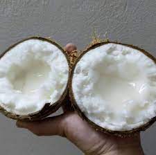 Dừa sáp là tên gọi thông dụng, ngoài ra còn được gọi là dừa kem, dừa đặc ruột. Dá»«a Sap Photos Facebook