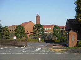 イモトアヤコ さんのプロフィール、経歴 イモト アヤコ（いもと あやこ） タレント、女優 生年月日 ：1986年1月12日 （2016年9月現在 30歳） 出身地：鳥取県 身長：158cm 血液型：o型 出身校：文教大学情報学部 ã‚¤ãƒ¢ãƒˆã‚¢ãƒ¤ã‚³ã®é«˜æ ¡ã‚„å¤§å­¦ã®å­¦æ­´ å‡ºèº«æƒ…å ± ãƒŸã‚¹ã‚³ãƒ³ã‚°ãƒ©ãƒ³ãƒ—ãƒª