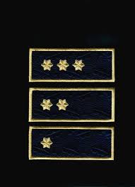 Diferențe între agenți și ofițeri. Se Organizeaza Concurs De Trecere In Corpul OfiÈerilor Din SursÄ InternÄ Europol Sindicatul PoliÈiÈtilor Europeni