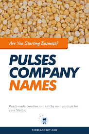 380 Best Pulses Company Names Ideas Thebrandboy Com In 2020 Catchy Names Company Names Company Meals