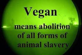Be Vegan 4 All Life X 4 Ever Vegan Animals Why Vegan Vegan Memes