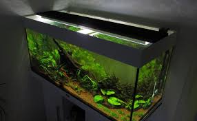 How To Switch To Led Aquarium Lighting Aquarium Fish Plants Com