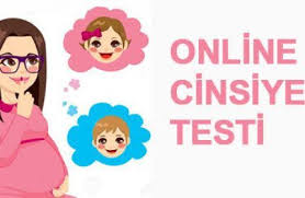 hamilelikte online cinsiyet testi hafta hafta gebelik hamilelik takibi bebek gelisimi hamilelik cinsiyet bebek cinsiyeti