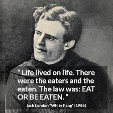 This is another way of saying that if you have two important tasks before you, start with the biggest, hardest, and most important task first. Life Lived On Life There Were The Eaters And The Eaten The Law Was Eat Or Be Eaten Kwize