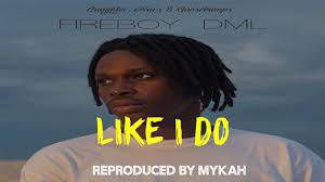 Fireboy dml peru mp3 download. Fireboy Like I Do Instrumental Instrumentalstv