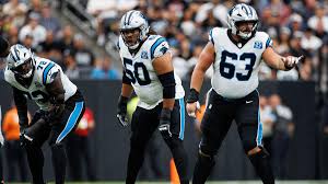 Cat Scratch Reader, a Carolina Panthers community