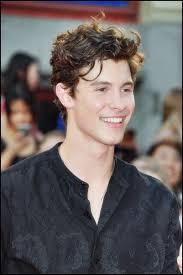 10 Trend Manner Frisuren Fur Party Nacht Trend Bob Frisuren 2019 Shawn Mendes Funny Shawn Mendes Concert Mendes