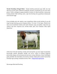 Maybe you would like to learn more about one of these? Doc Prospek Baik Ternak Kambing Untuk Bisnis Aguzs Sdurazat And Aguzs Sudrazat Academia Edu