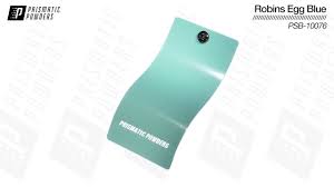 Image result for Robin Egg Blue 2018 Fleet
