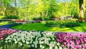 Perennial blooms are perfect for attracting pollinators and other beneficial insects to your garden. Spring Flowers Spring Blooming Flowers For Your Garden Gilmour