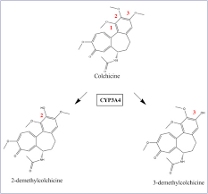 Image result for Colchicine