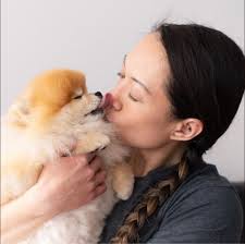 Mimi Frank's Instagram, Twitter & Facebook