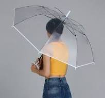 Pipa Bella by Nykaa Fashion White Plain Transparent Umbrella