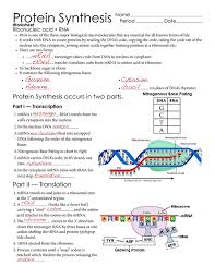 Stratton Lorraine Dna Rna Protein Synthesis Keys Biology Lessons Biology Classroom Teaching Biology Biology Lessons Biology Classroom Study Biology