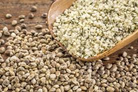 Benefits of Having Hemp Seeds – Hemp Seed Guide