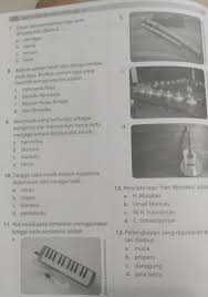 Instrumen ini tidak dianggap sebagai produk murah, jadi ada sangat sedikit penggemar di indonesia. 9 Alat Musik Yang Berfungsi Sebagaipengiring Dan Memainkan Irama Sertamenjaga Tempo Disebut Alat Brainly Co Id