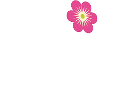 Kbs kullanıcı raporlarıkbs kullanıcı raporları (bütçe, personel ve kesin hesap). Kbs Kbs