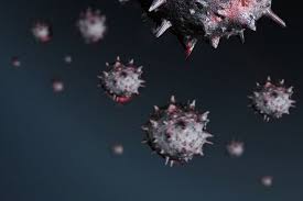 27 de diciembre de 2020 12:00 am. Subsecretaria Daza Confirma Que Nueva Cepa Del Coronavirus Ya Llego A Chile Se Identifico El Primer Caso La Tercera