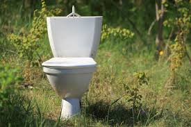 The only thing that survived treatment process was tomato seeds. The Stink About Human Poop As Fertilizer Modern Farmer