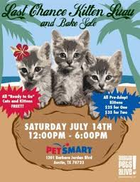 Please plan on spending more time to fully complete the adoption process. Austin Pets Alive Last Chance Kitten Luau