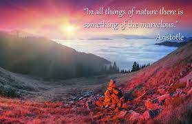 Pin On Motivational Quotes