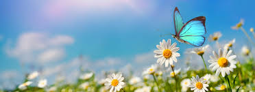 We are a malaysian based company incorporated under the company laws of malaysia. Keller Partner Symplus By Keller Software