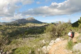 Inmobiliarias en galilea mallorca comprar & venta ☆ encuentra su pisos, casas o villas exclusivas en más de 2.200 casas y pisos en venta en galilea mallorca en riera & taylor. Galilea Mallorca Seemallorca Com