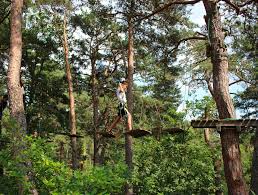 Saint Nectaire Aventures