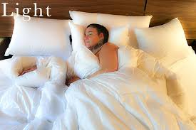 4.8 out of 5 stars with 25 reviews. Batiste Goose Down Comforter Plumeria Bay